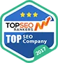 Named #1 Digital Agency in Many Countries! - V体育APP