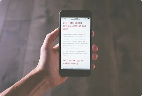Discover Opportunities - V体育APP