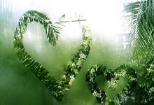 v体育官网：内马尔派对女郎：别骂了，招待宾客只是我的工作，没想当正宫.